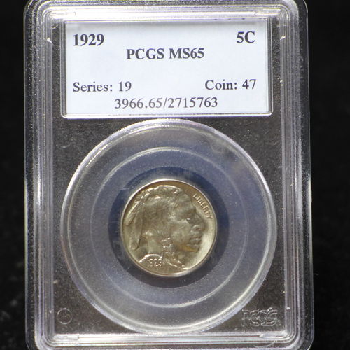 1929 Buffalo Nickel - PCGS MS65